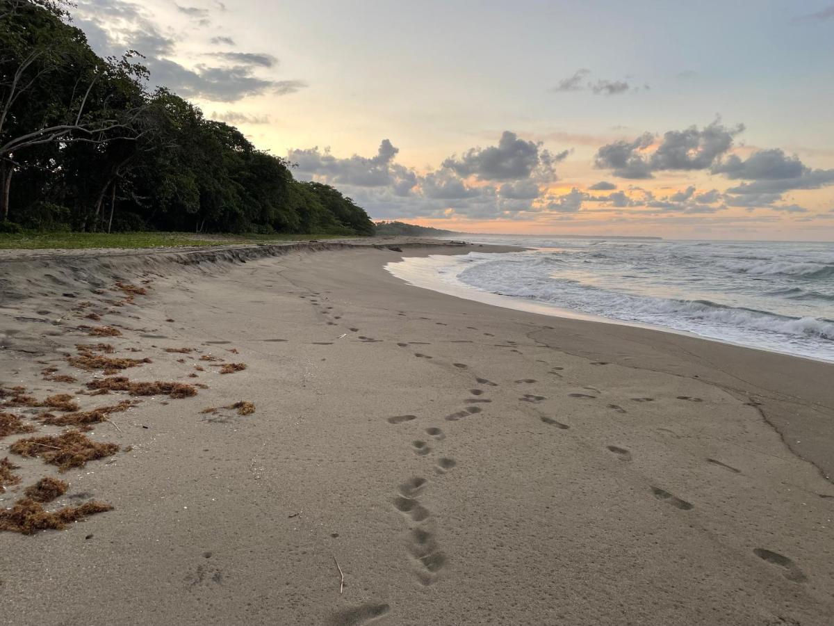 Perla Negra Beachfront Puerto Viejo de Talamanca Экстерьер фото