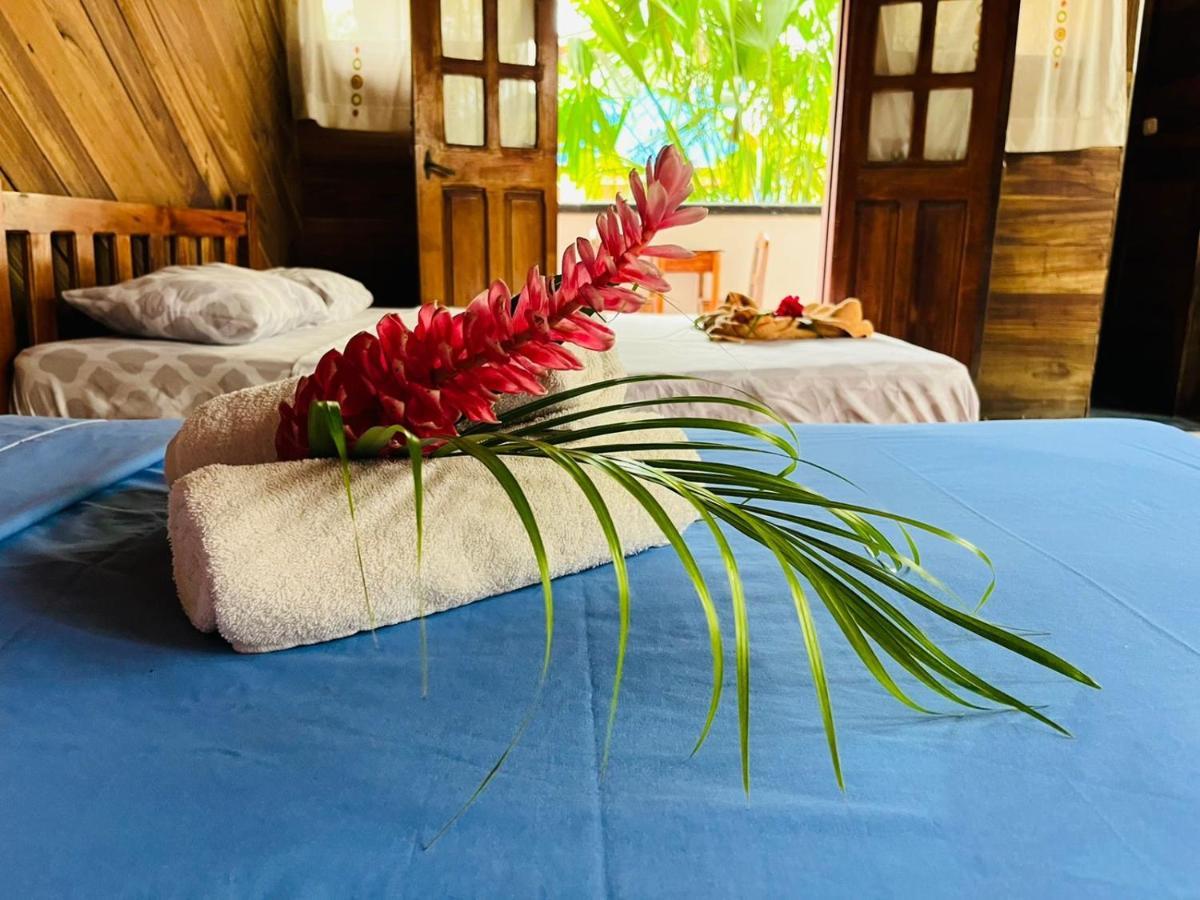 Perla Negra Beachfront Puerto Viejo de Talamanca Экстерьер фото