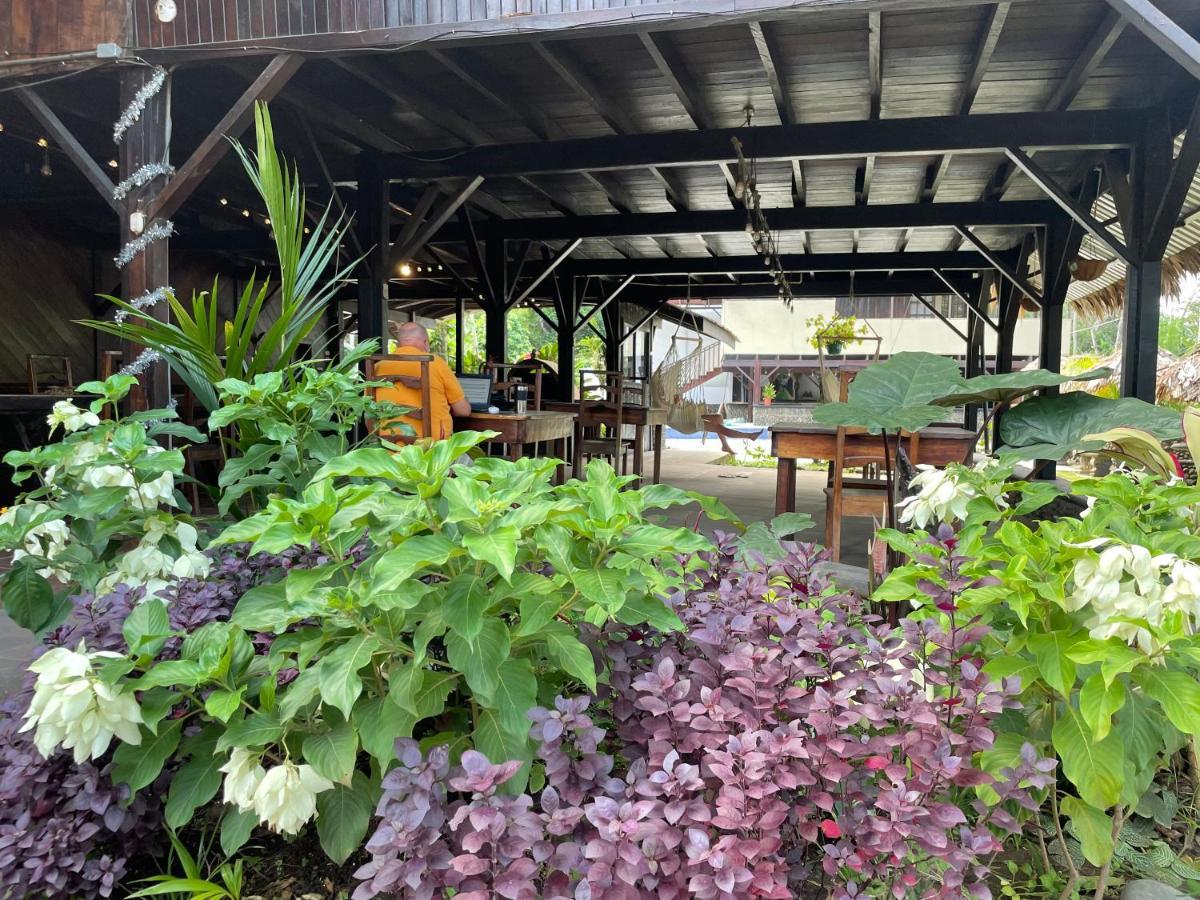 Perla Negra Beachfront Puerto Viejo de Talamanca Экстерьер фото
