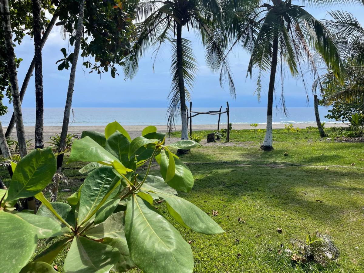 Perla Negra Beachfront Puerto Viejo de Talamanca Экстерьер фото