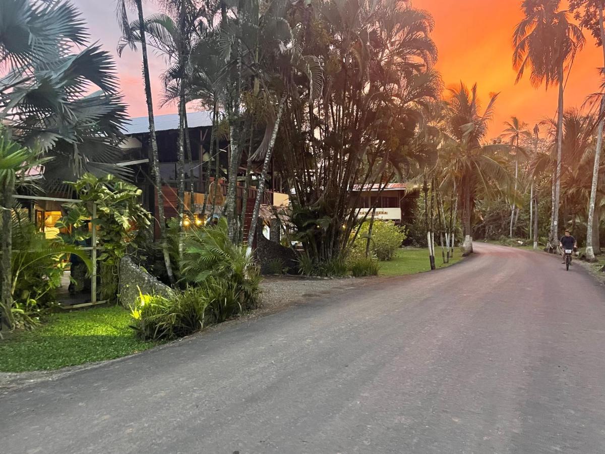 Perla Negra Beachfront Puerto Viejo de Talamanca Экстерьер фото