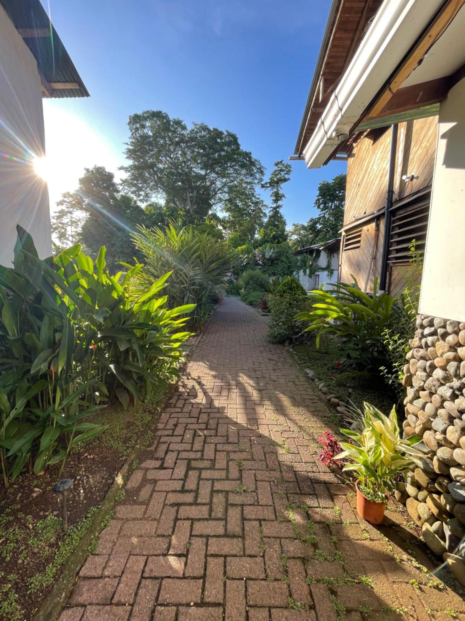 Perla Negra Beachfront Puerto Viejo de Talamanca Экстерьер фото