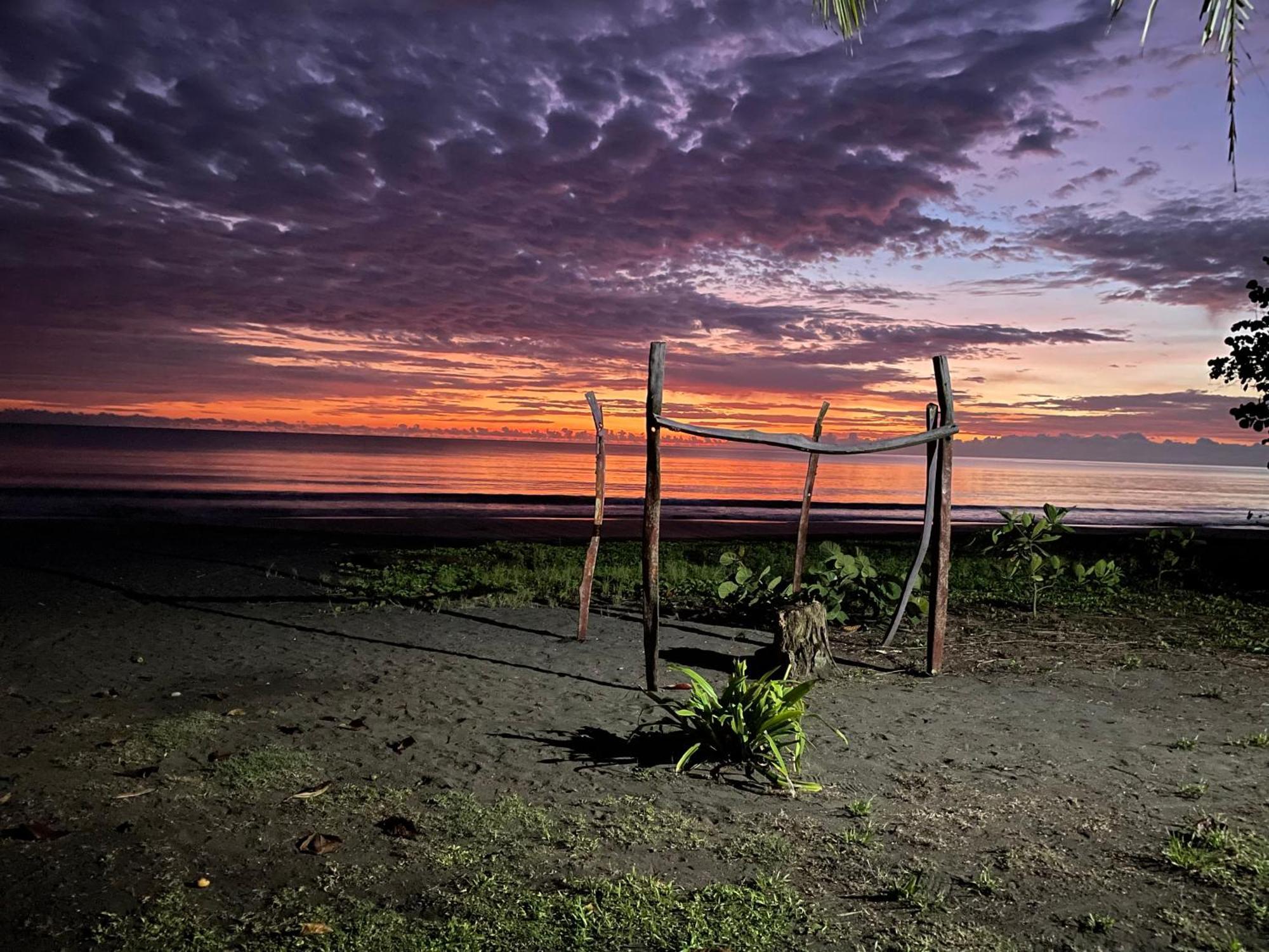 Perla Negra Beachfront Puerto Viejo de Talamanca Экстерьер фото